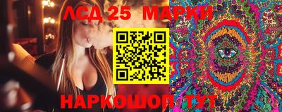 гидропоника Волжск