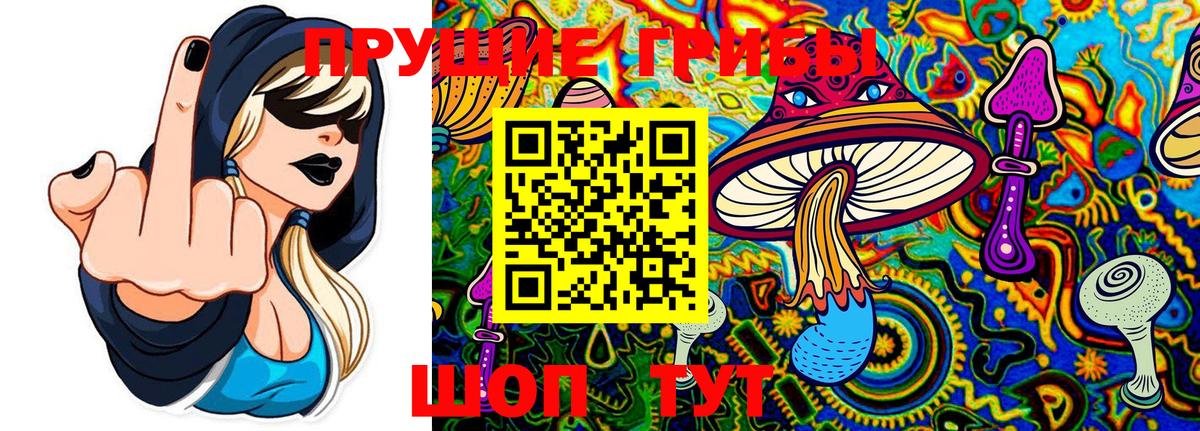 купить наркотик  Галлюциногенные грибы Psilocybe  Вход с VPN  Галлюциногенные грибы Psilocybine cubensis  Новокубанск 